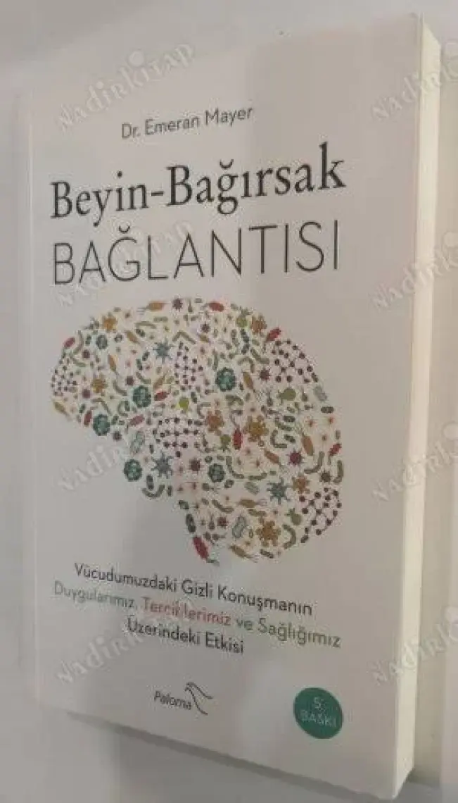 Beyin - Bağırsak Bağlantısı