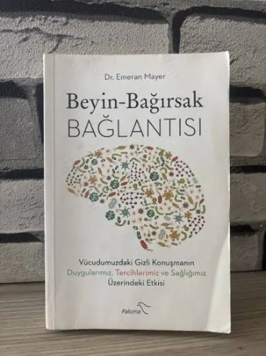Beyin - Bağırsak Bağlantısı