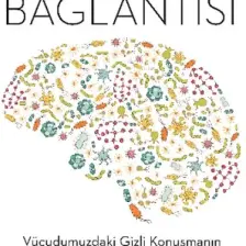 Beyin - Bağırsak Bağlantısı