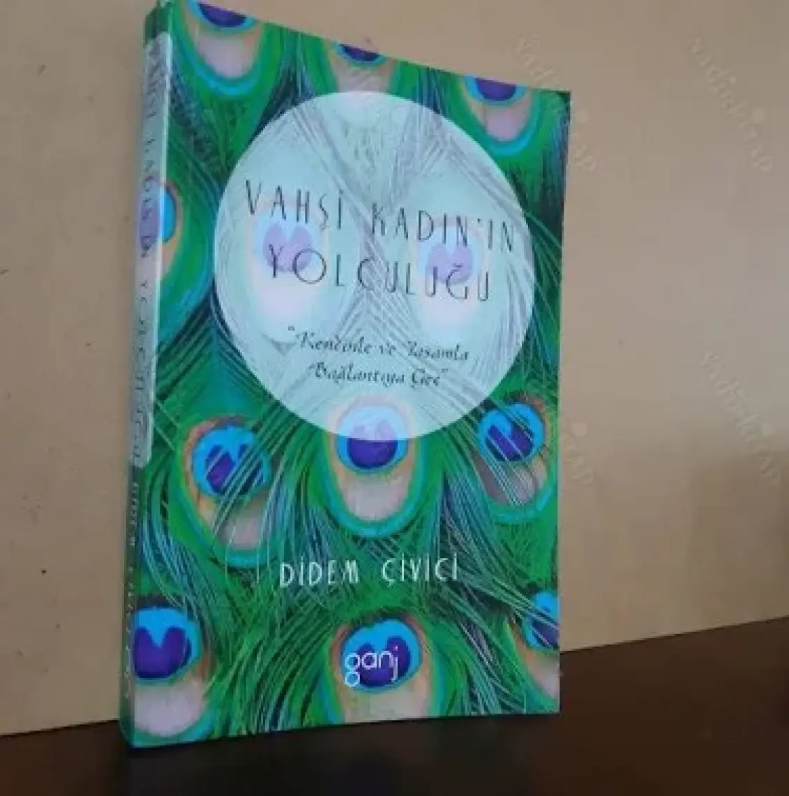 Vahşi Kadın’In Yolculuğu: Kendinle Ve Yaşamla Bağlantıya Geç - Didem Çivici