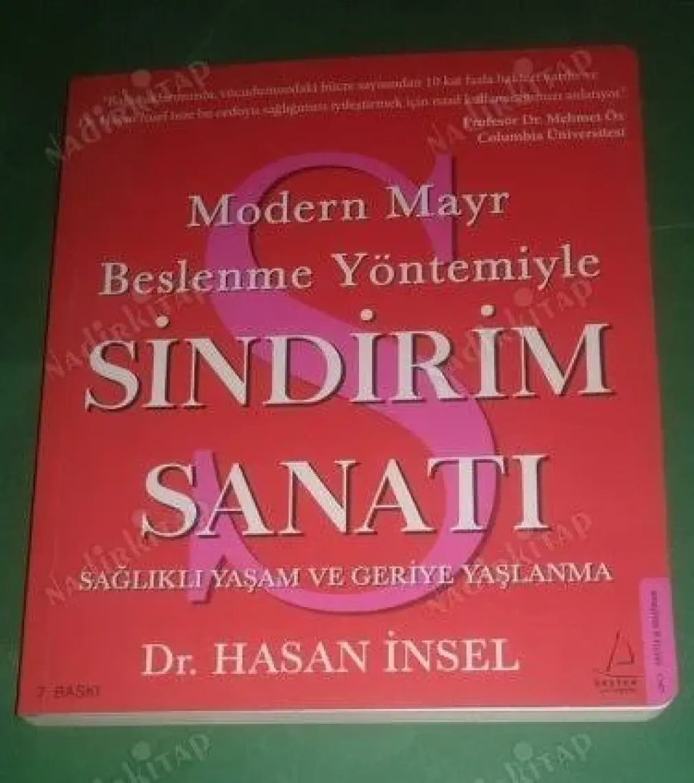 Sindirim Sanatı - Hasan İnsel