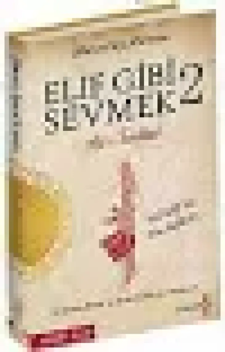Elif Gibi Sevmek 2: Aşk-ı Tevekkül - Hikmet Anıl Öztekin