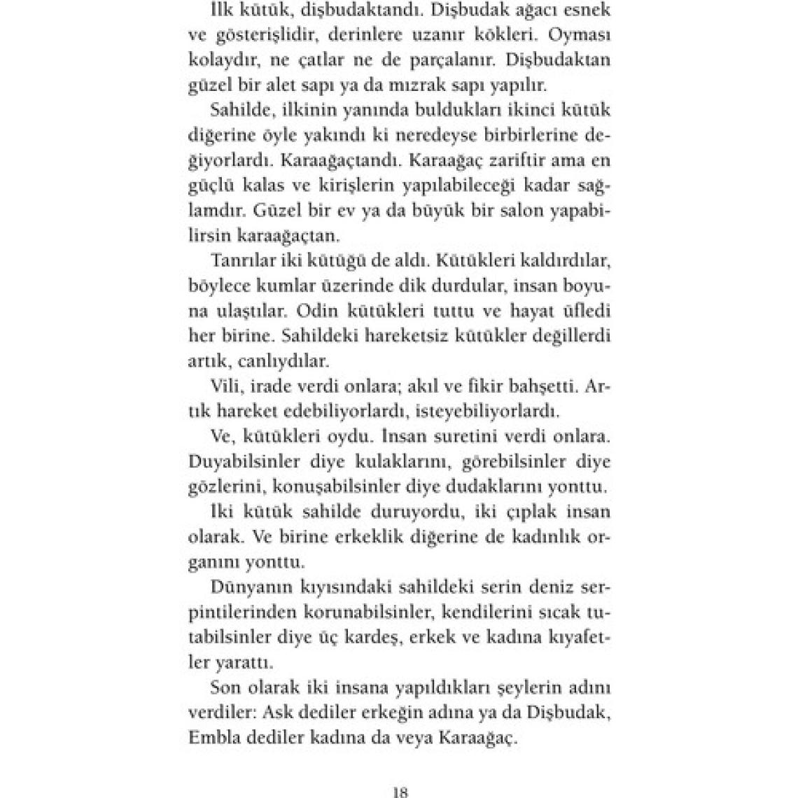 İskandinav Mitolojisi - Neil Gaiman - Ciltli