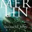 Merlin 8: Ölümcül Büyü - T. A. Barron