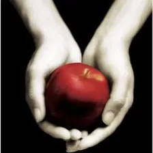 Alacakaranlık - Stephenie Meyer