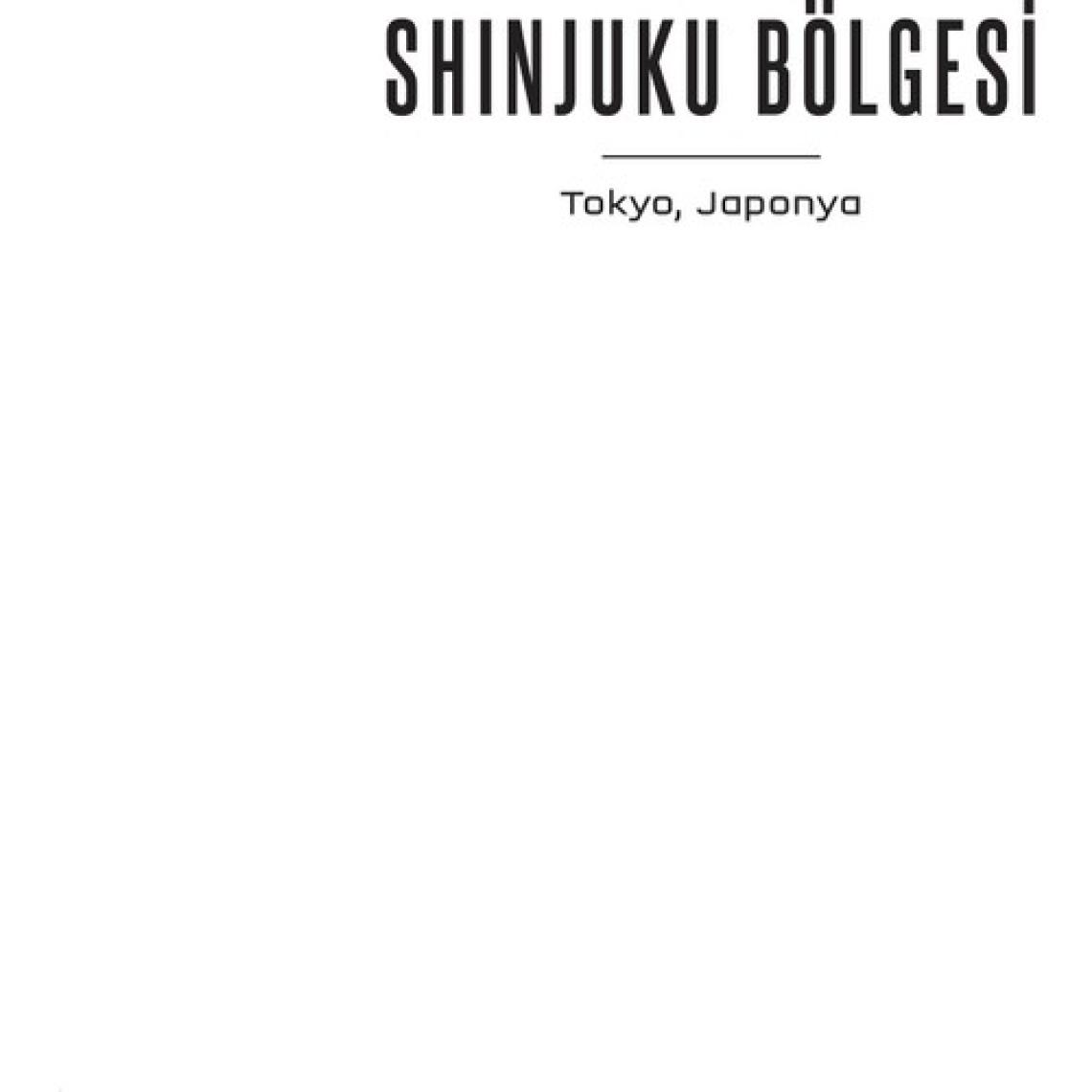 Wildcard: Joker Oyuncunun Hikayesi - Ciltli - Marie Lu