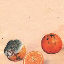 Çürümenin Kitabı - Emil Michel Cioran