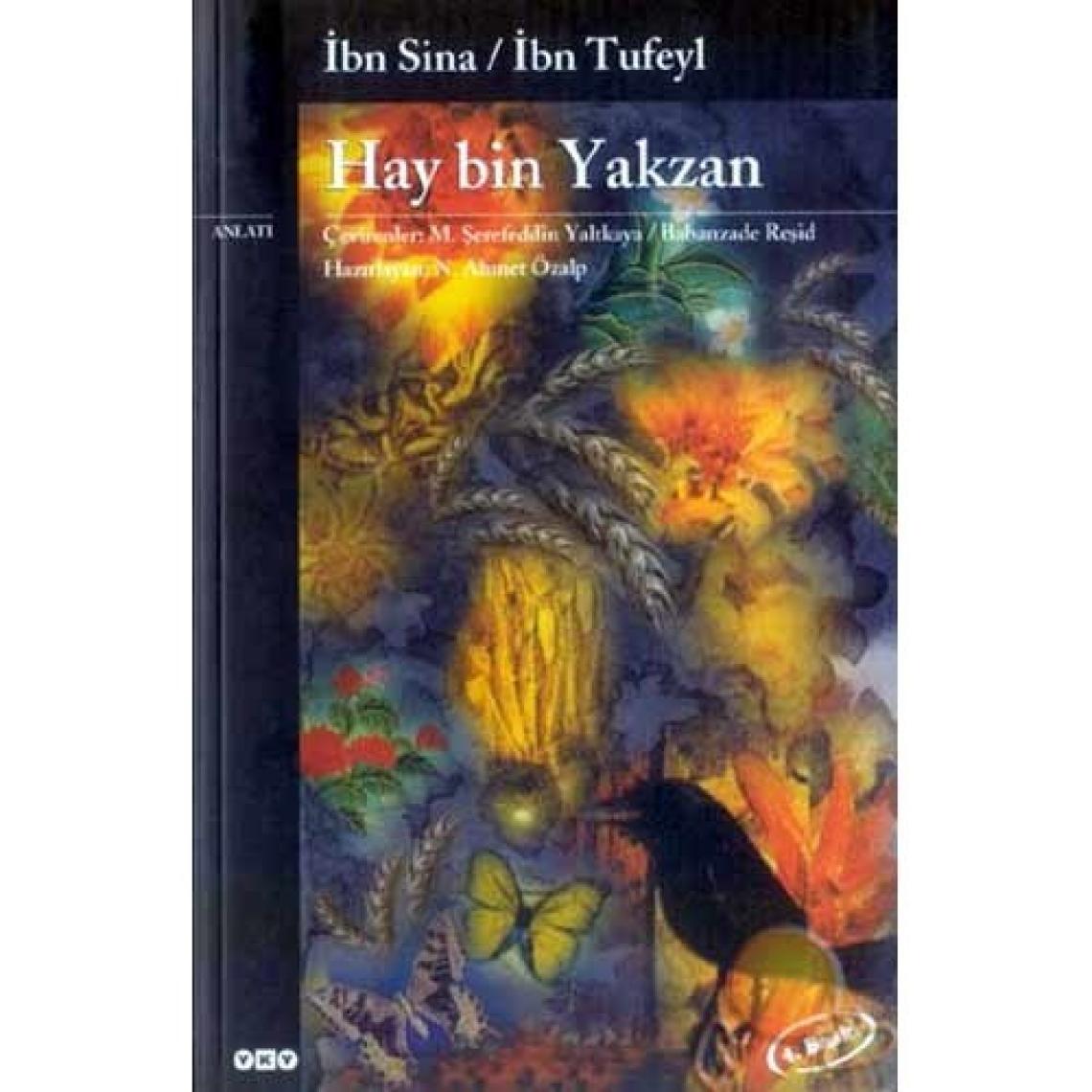 Hay Bin Yakzan - İbn Tufeyl