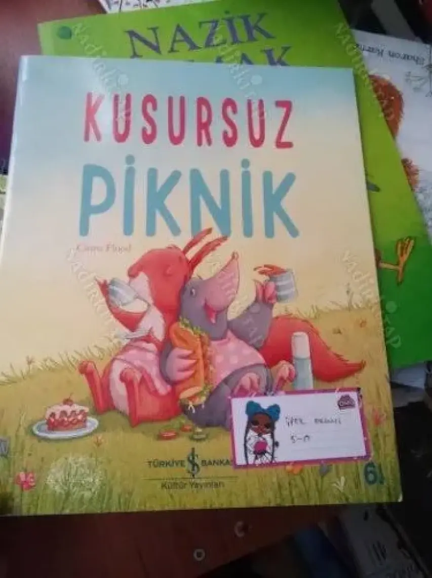 Kusursuz Piknik-Cihan Aktaş