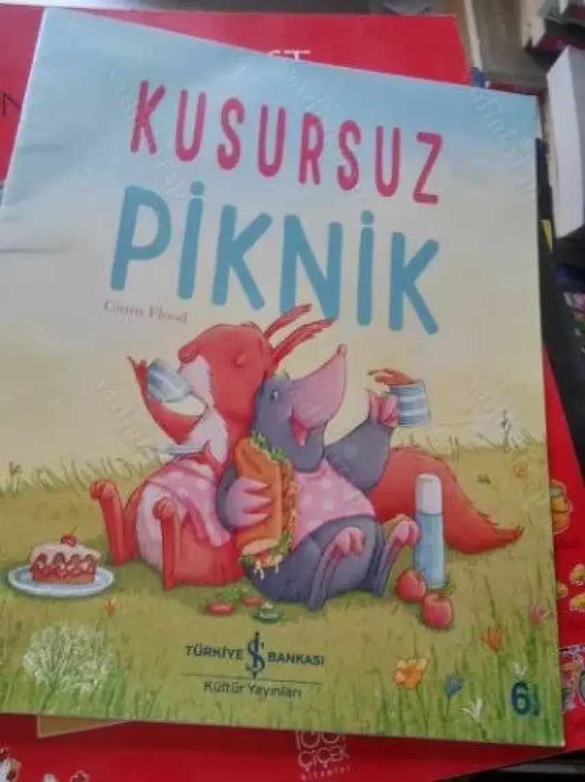 Kusursuz Piknik-Cihan Aktaş