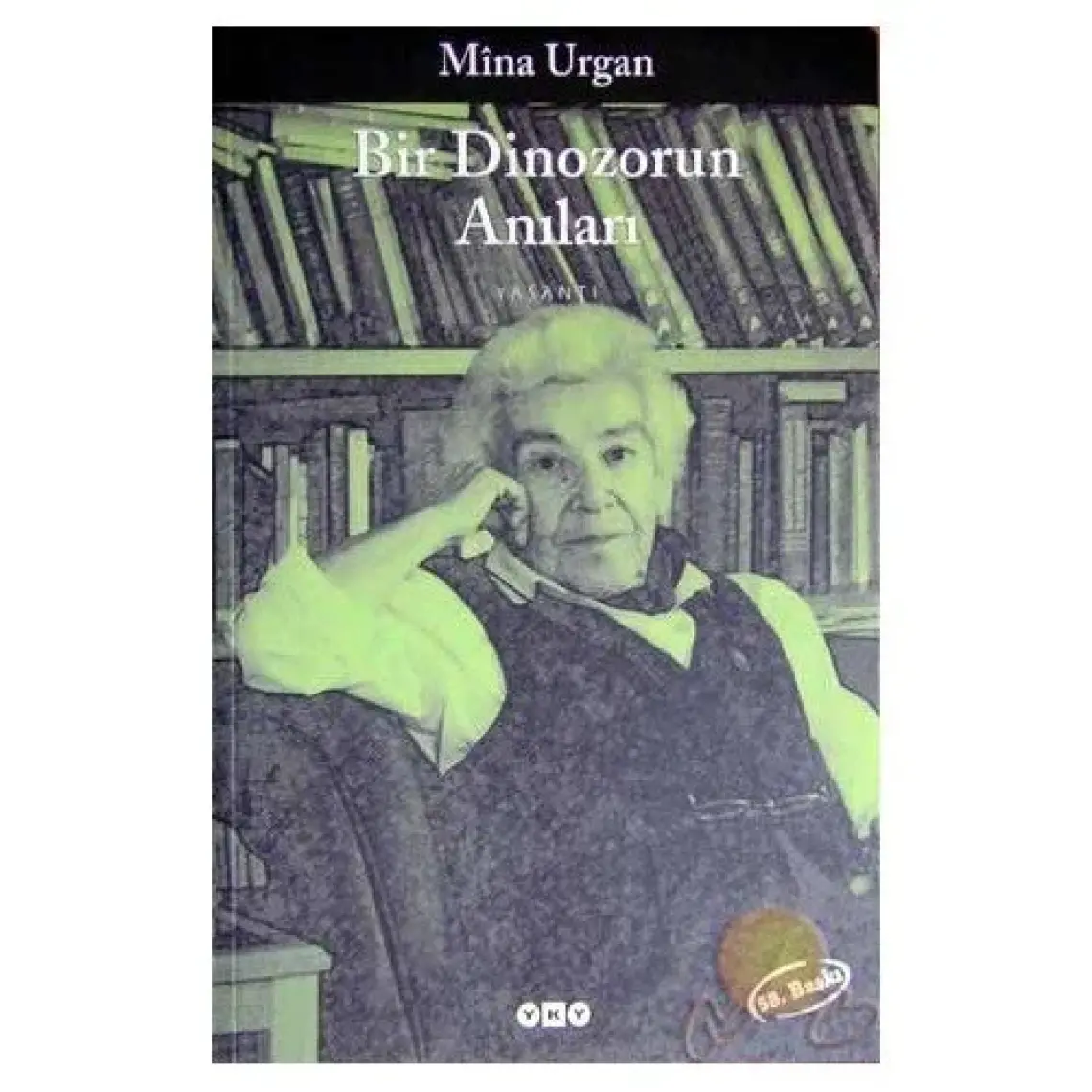 Bir Dinozorun Anıları