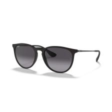 Ray-Ban Erika 4171 622/8G Black-Grey Güneş Gözlüğü