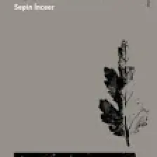 Ağıtların Tanrısı - Sepin Sinanlıoğlu