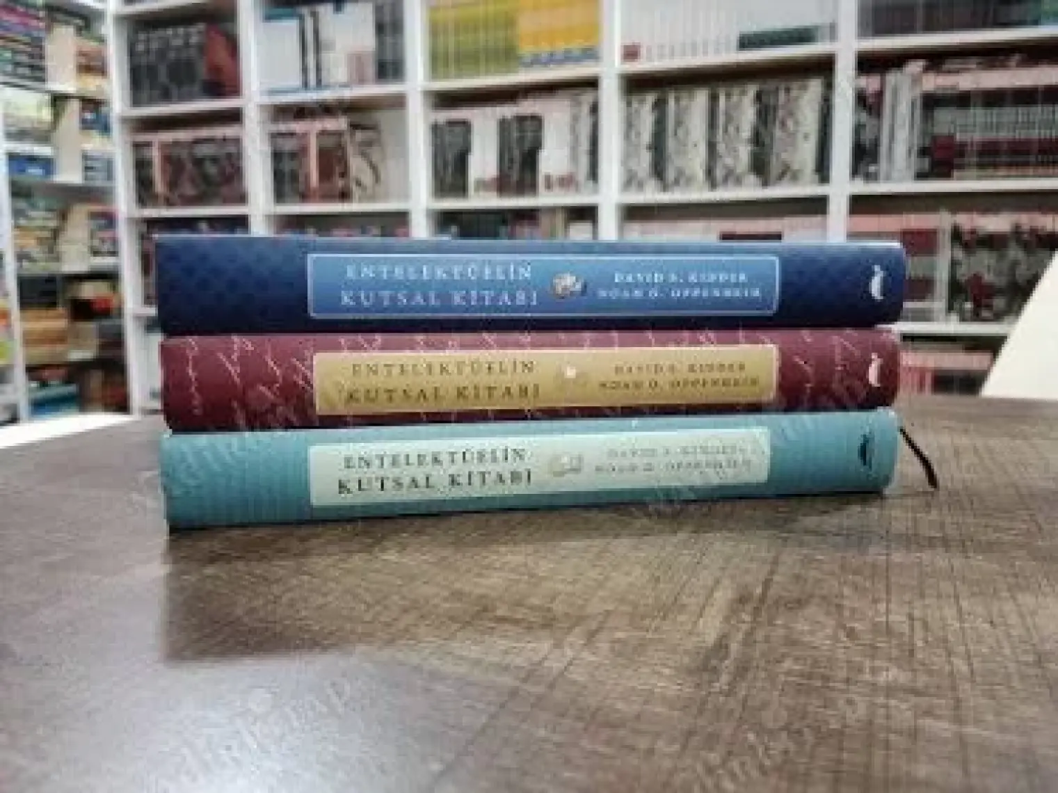 Entelektüelin Kutsal Kitabı (Ciltli ) - David S. Kidder