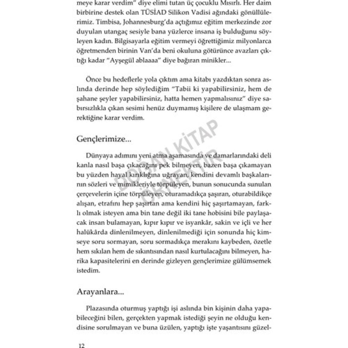 Ayşegül Işınla Bizi: Bir Teknoloji Liderinin Küresel Serüveni - Ayşegül Ildeniz