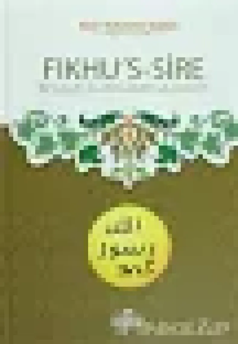 Fıkhu's-Sire