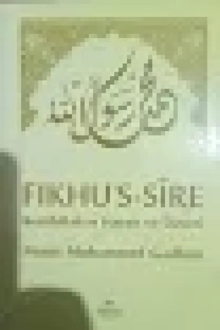 Fıkhu's-Sire