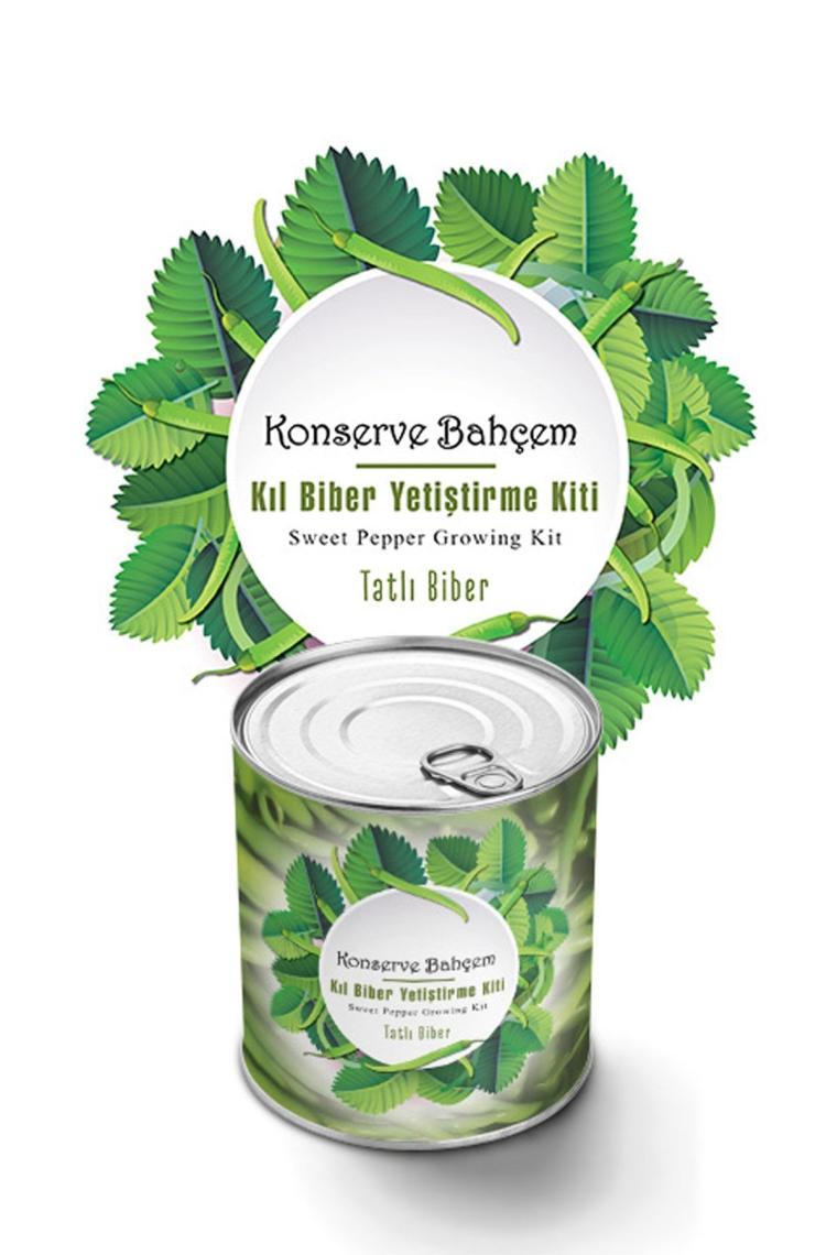 Tatlı Kıl Biber Yetiştirme Kiti - Sebze Fide Kiti Tatlı Kıl Biber Tohum Ve Torf Set