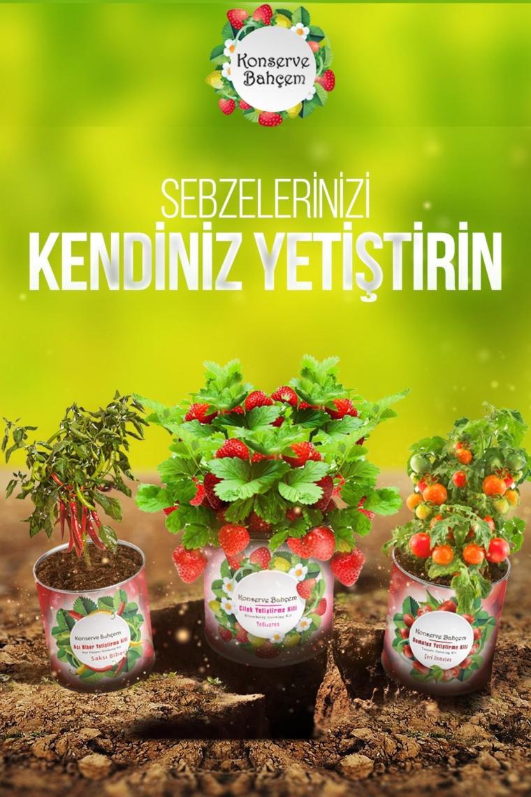 Tatlı Kıl Biber Yetiştirme Kiti - Sebze Fide Kiti Tatlı Kıl Biber Tohum Ve Torf Set