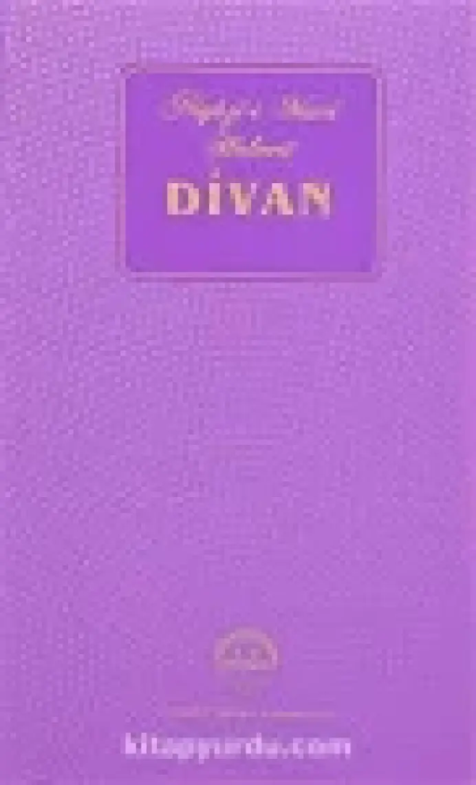 Niyazi-i  Mısri Halveti Divanı