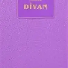 Niyazi-i  Mısri Halveti Divanı
