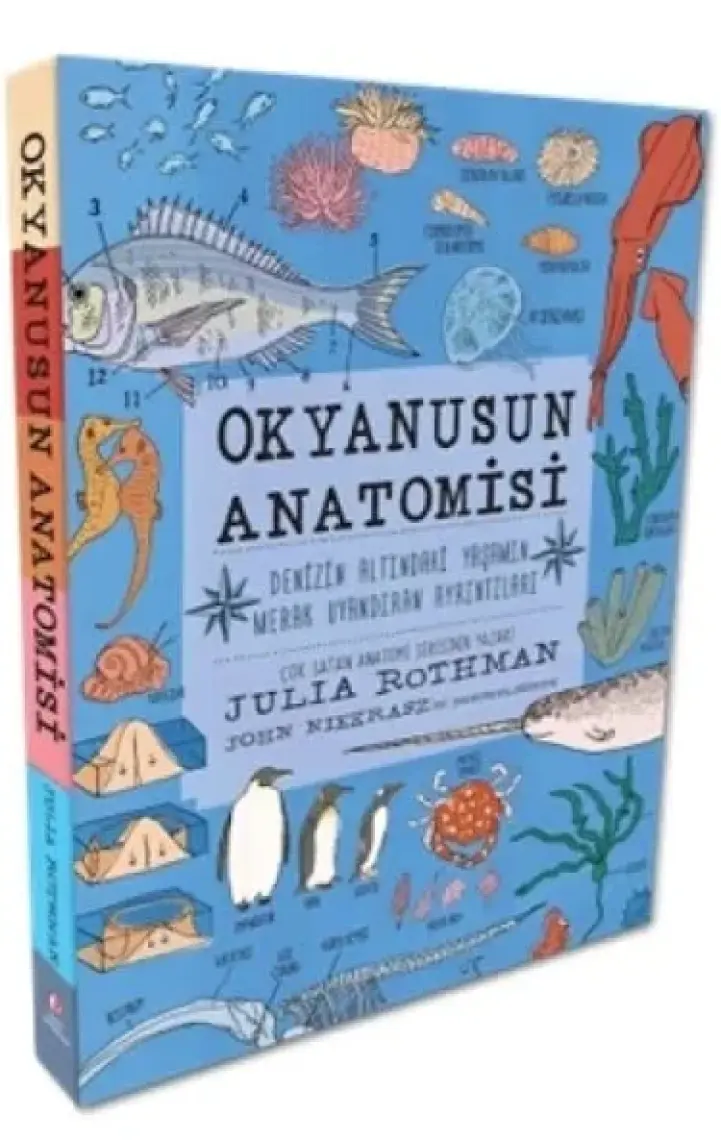 Okyanusun Anatomisi - Denizin Altındaki Yaşamın Merak Uyandıran Ayrıntıları