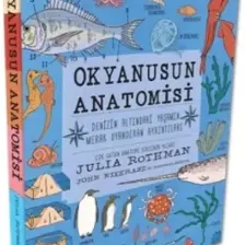Okyanusun Anatomisi - Denizin Altındaki Yaşamın Merak Uyandıran Ayrıntıları
