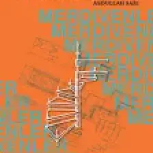 Düşey Sirkülasyon Araçları Merdivenler