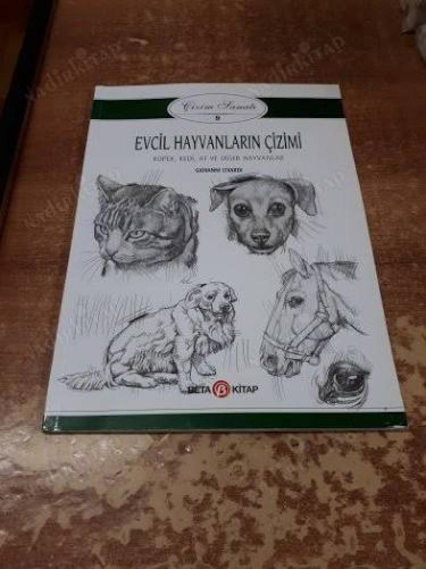 Evcil Hayvanların Çizimi - Çizim Sanatı 9