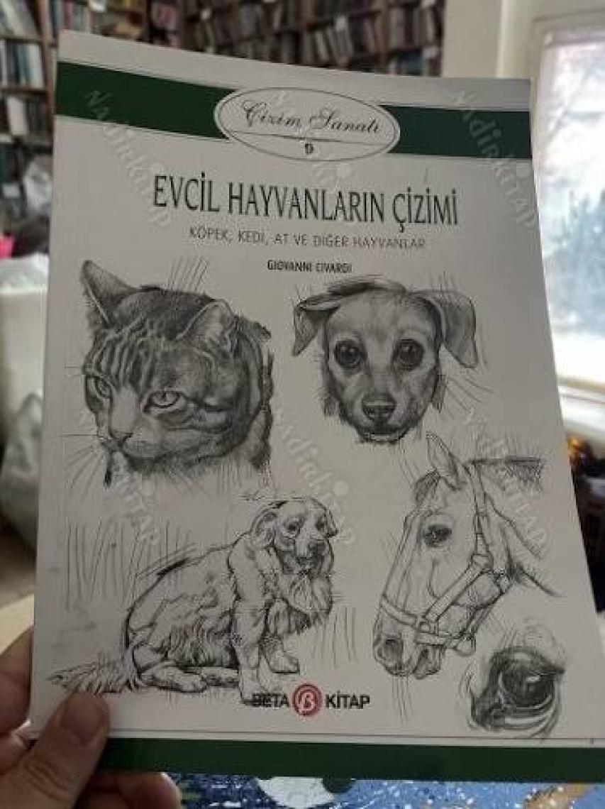 Evcil Hayvanların Çizimi - Çizim Sanatı 9