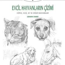 Evcil Hayvanların Çizimi - Çizim Sanatı 9