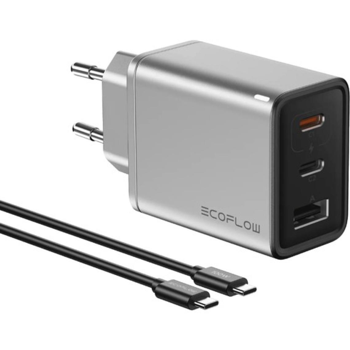 Ecoflow - Rapıd 65W Gan Şarj Cihazı