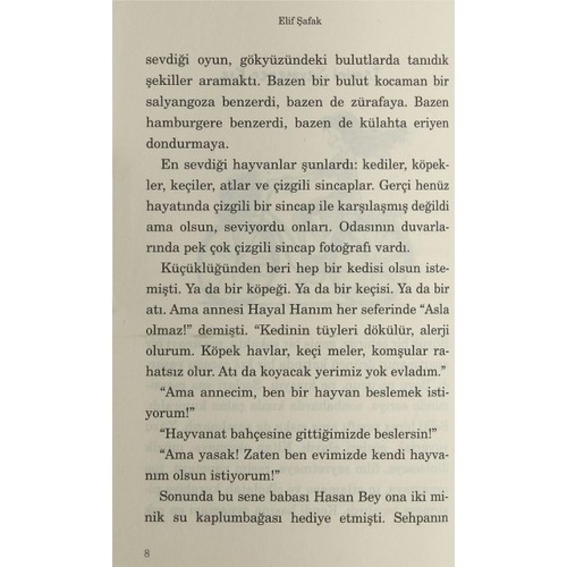 Sakız Sardunya - Elif Şafak