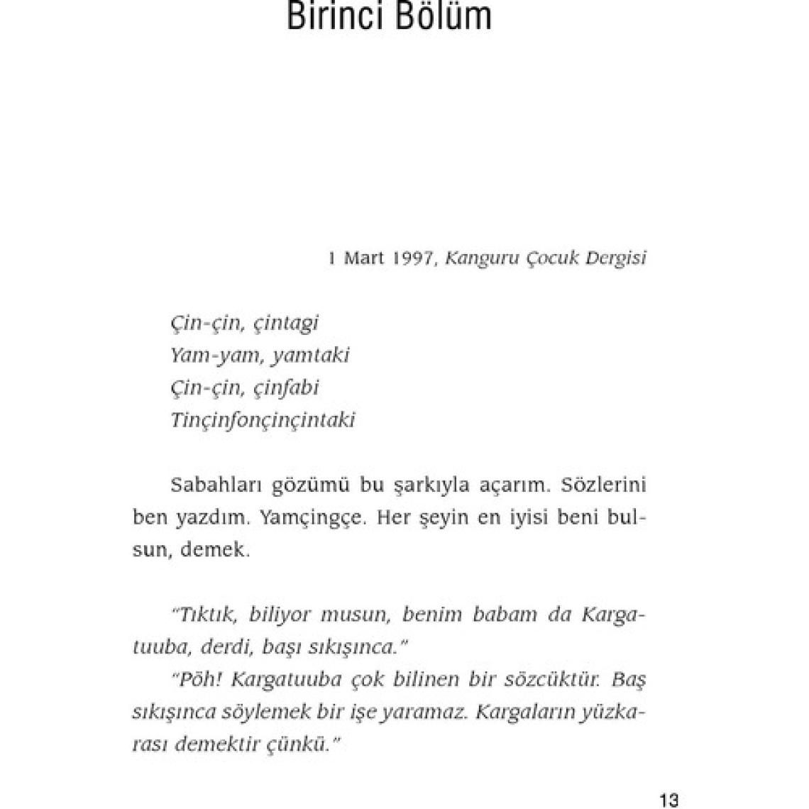 Domates Saçlı Kız - Sevim Ak