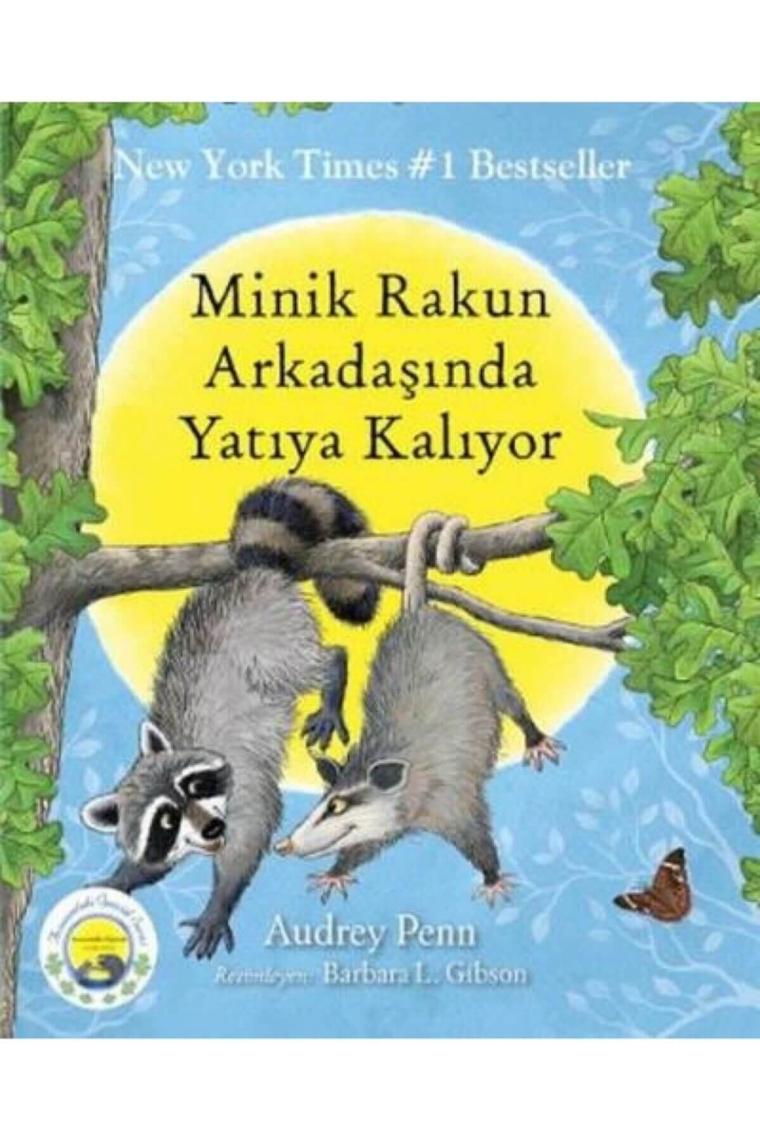 Minik Rakun Arkadaşında Yatıya Kalıyor
