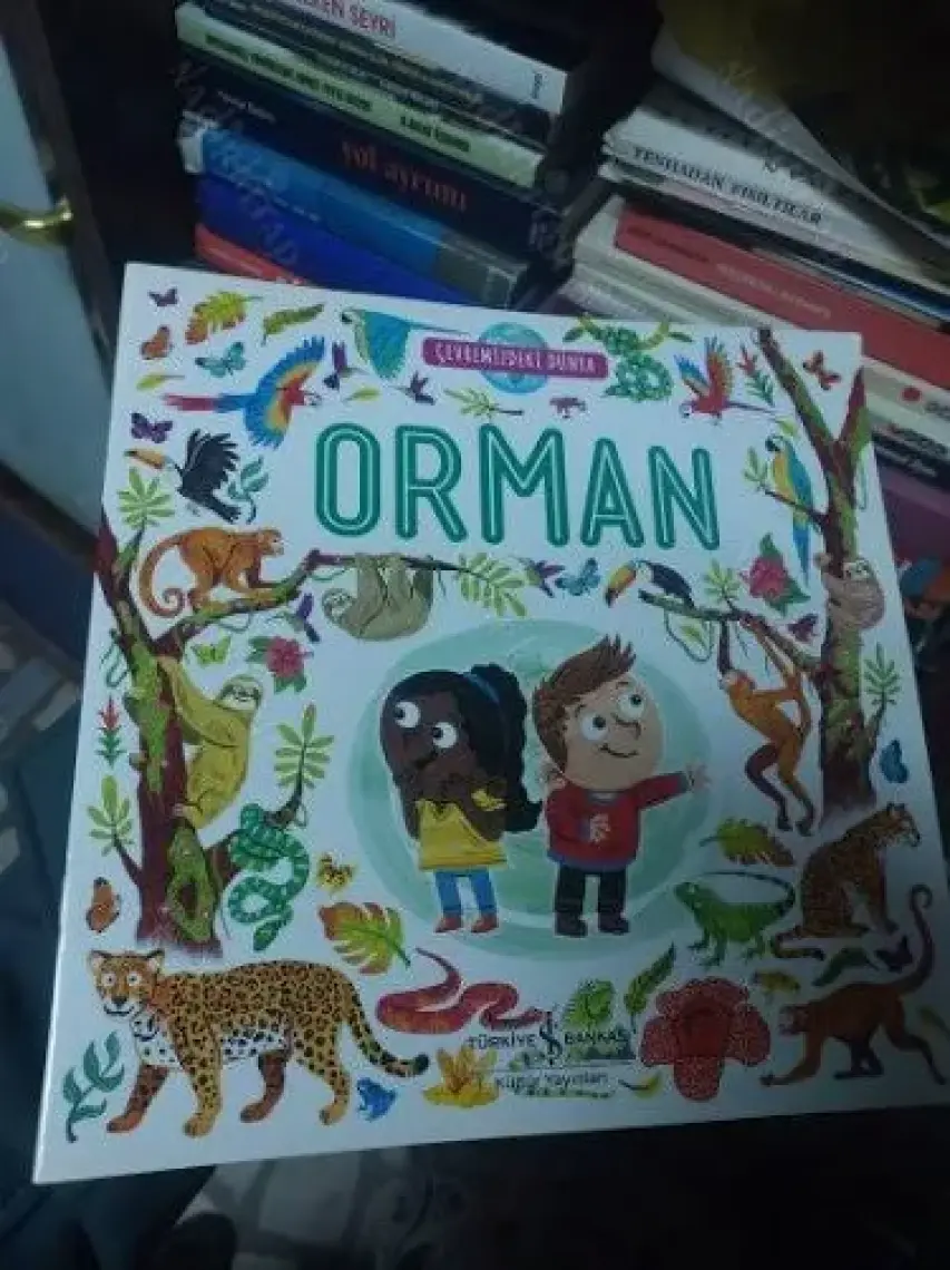 Çevremizdeki Dünya Orman