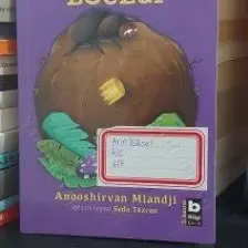 Çamur Böceği kitabı / Anooshirvan Miandji / Bilgi Yayınevi Çocuk