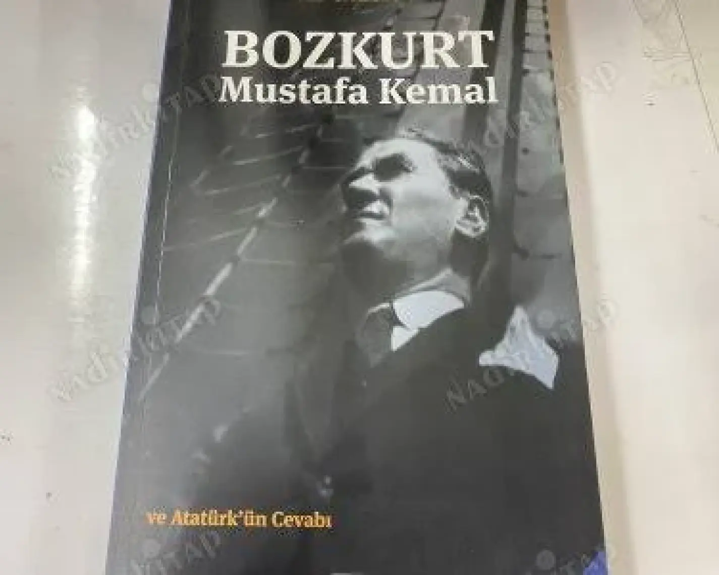Bozkurt Mustafa Kemal ve Atatürk'ün Cevabı