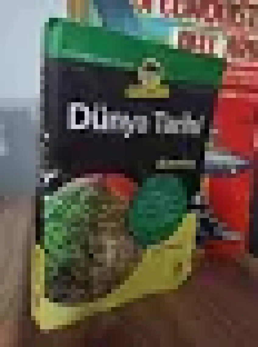 Dünya Tarihi for Dummies