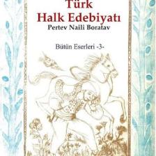 Bilgesu 100 Soruda Türk Halk Edebiyatı-Pertev Naili Boratav