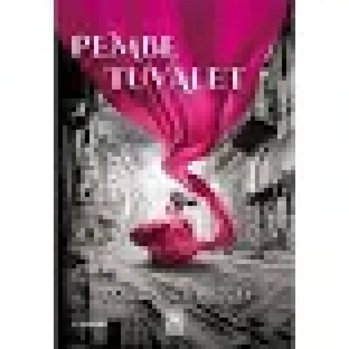 Pembe Tuvalet - Tolga Gümüşay