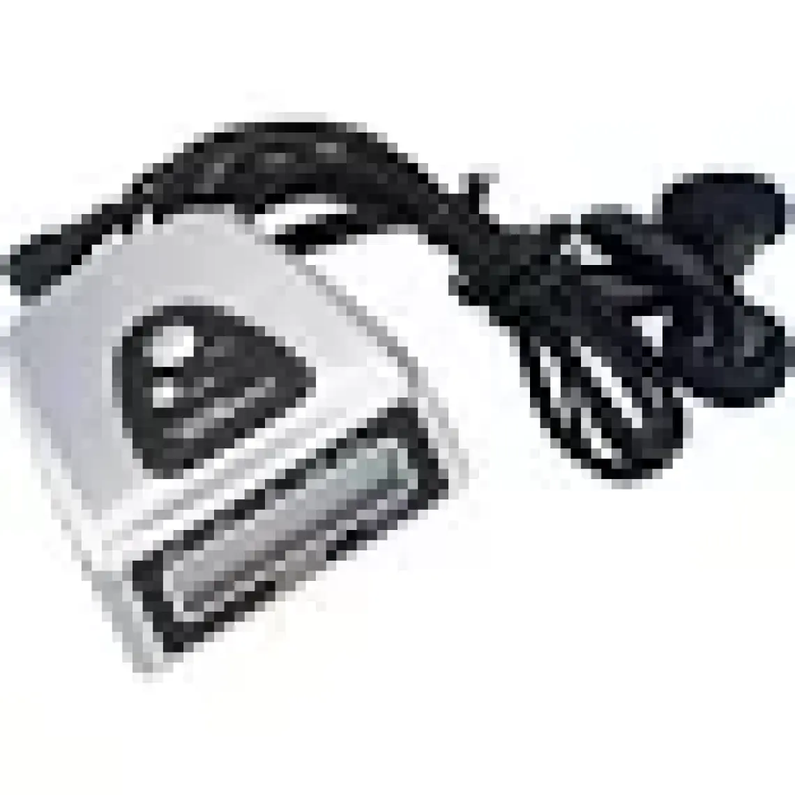 Sportica RP-20 Radyolu Pedometre - RP-20