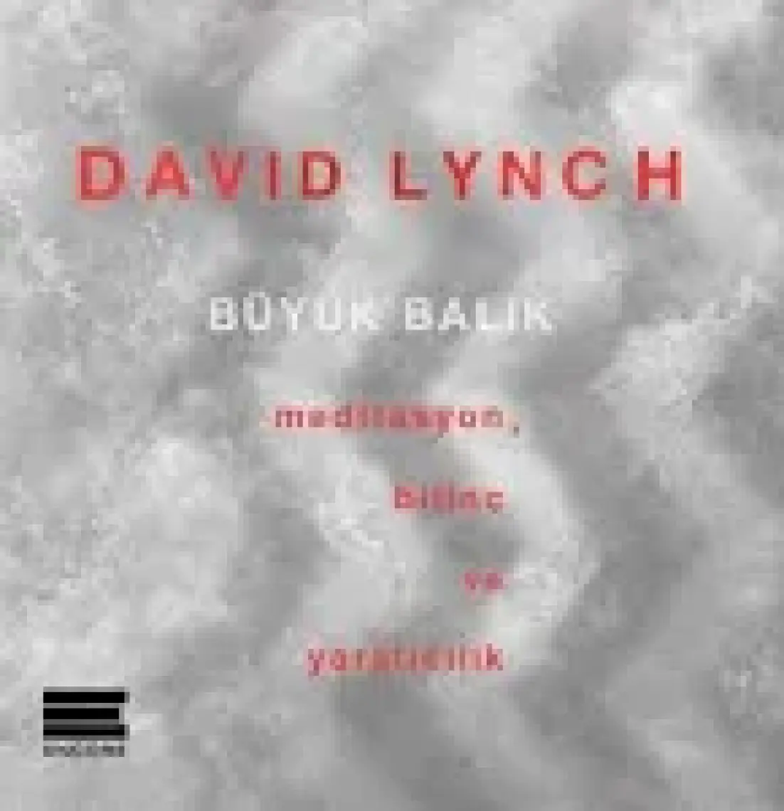 Büyük Balık - David Lynch