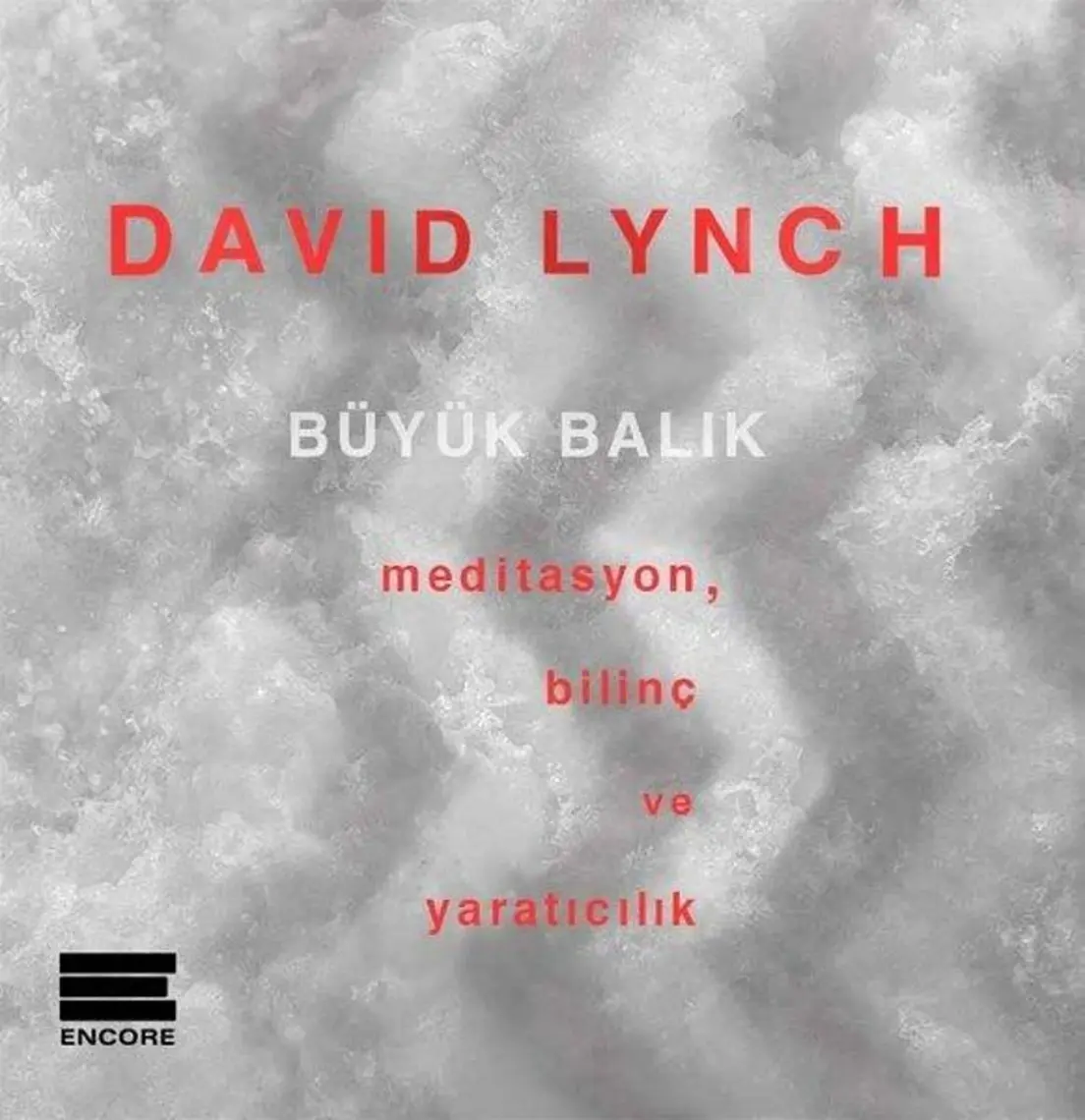 Büyük Balık - David Lynch