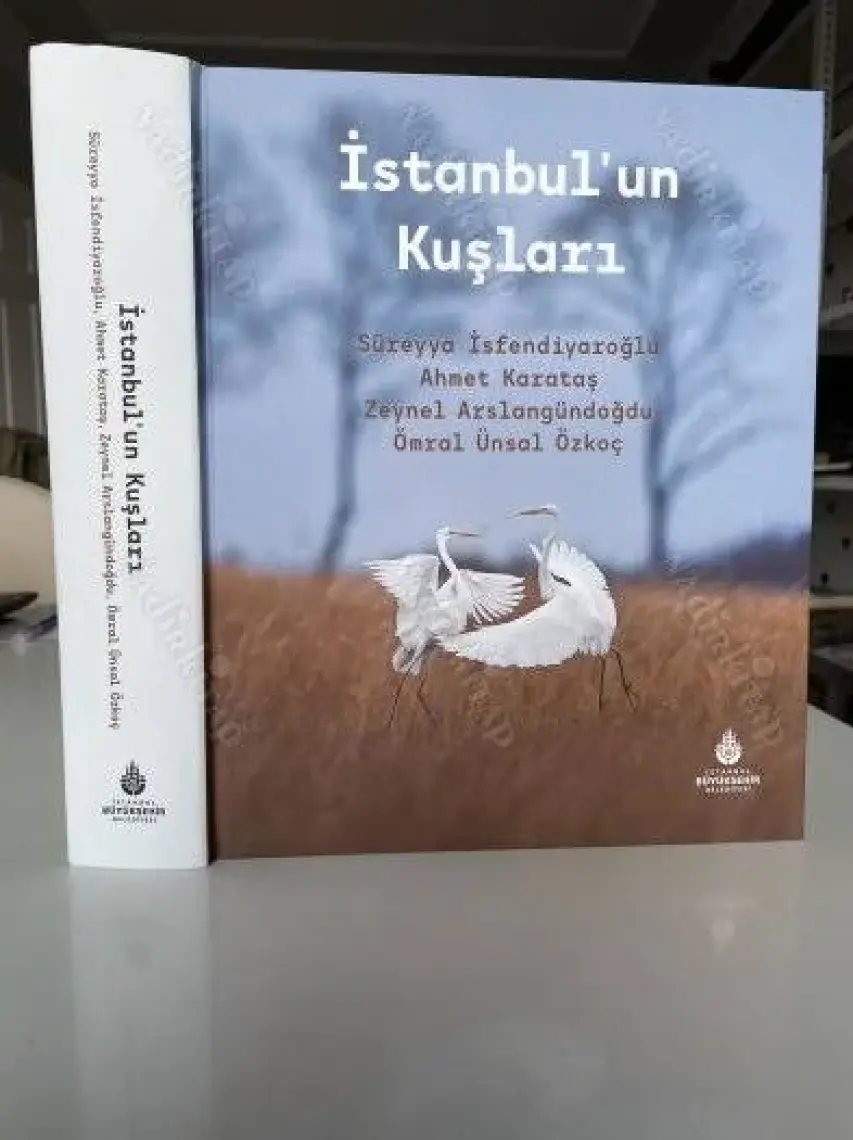 Istanbul'un Kuşları - Süreyya Isfendiyaroğlu