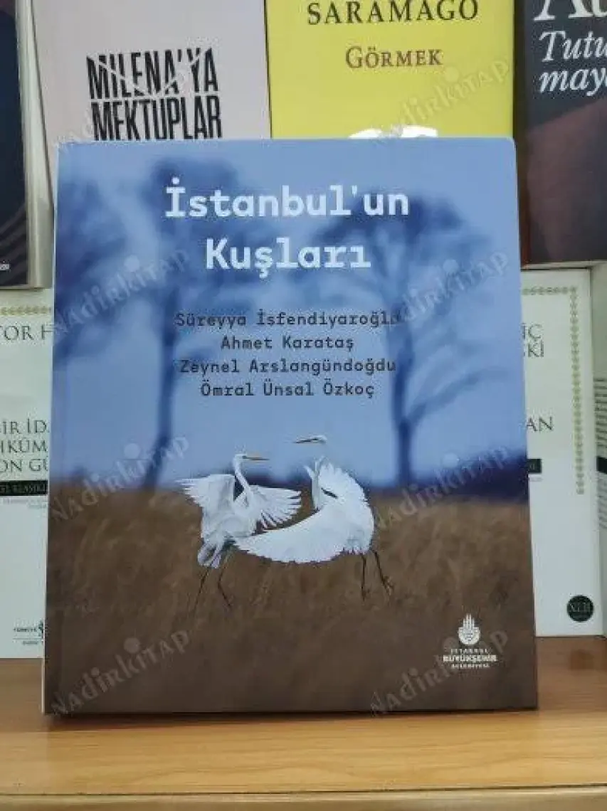 Istanbul'un Kuşları - Süreyya Isfendiyaroğlu