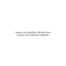 Sokağın Zulası