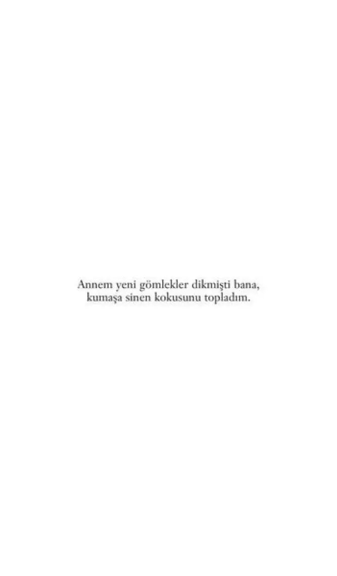 Sokağın Zulası