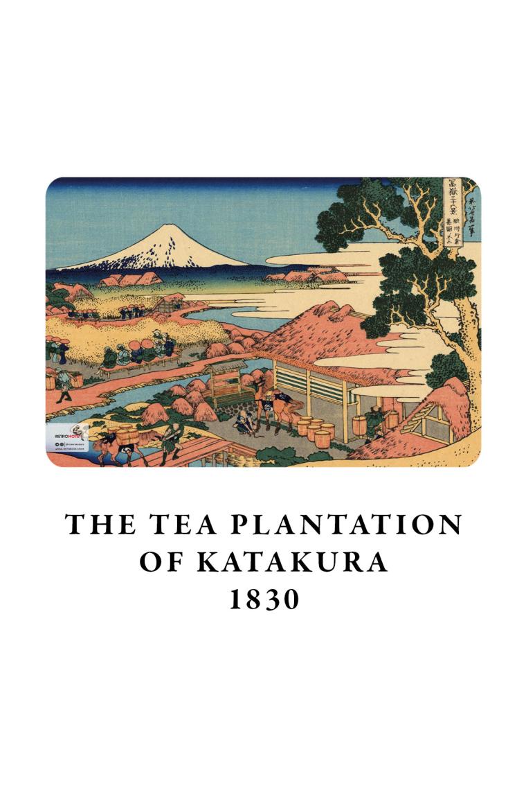 Retronote Hokusai 4'lü Defter Seti 2  Mount Fuji Series Iı  Çizgisiz  48 Sayfa  10,5X14CM