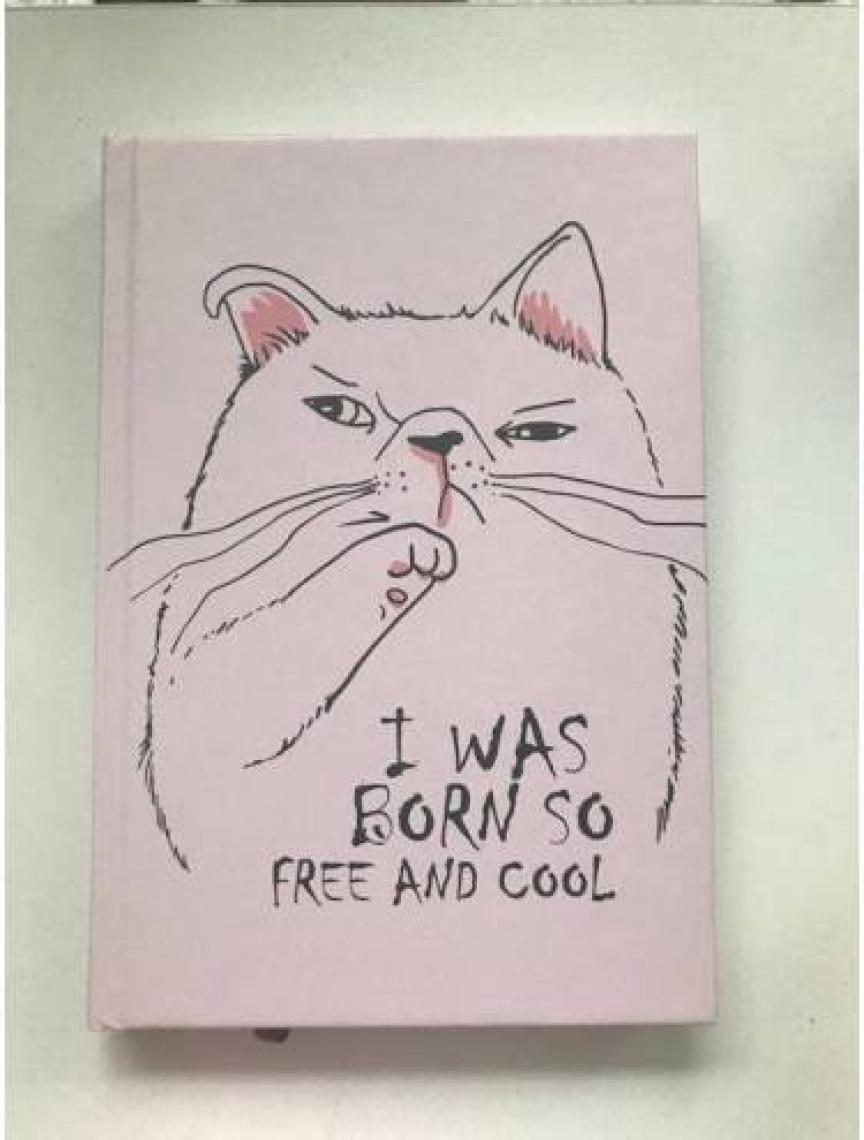 Deffter Free And Cool Not Defteri